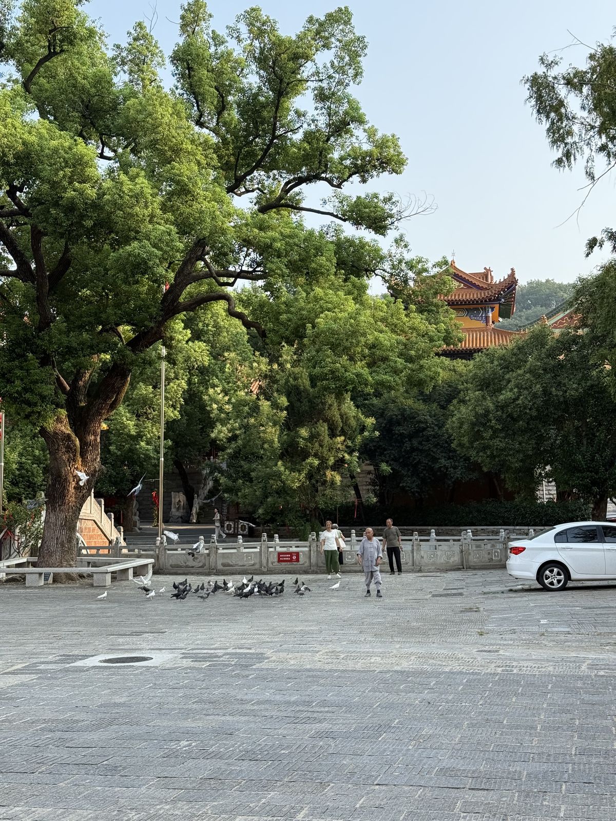 武汉旅游记