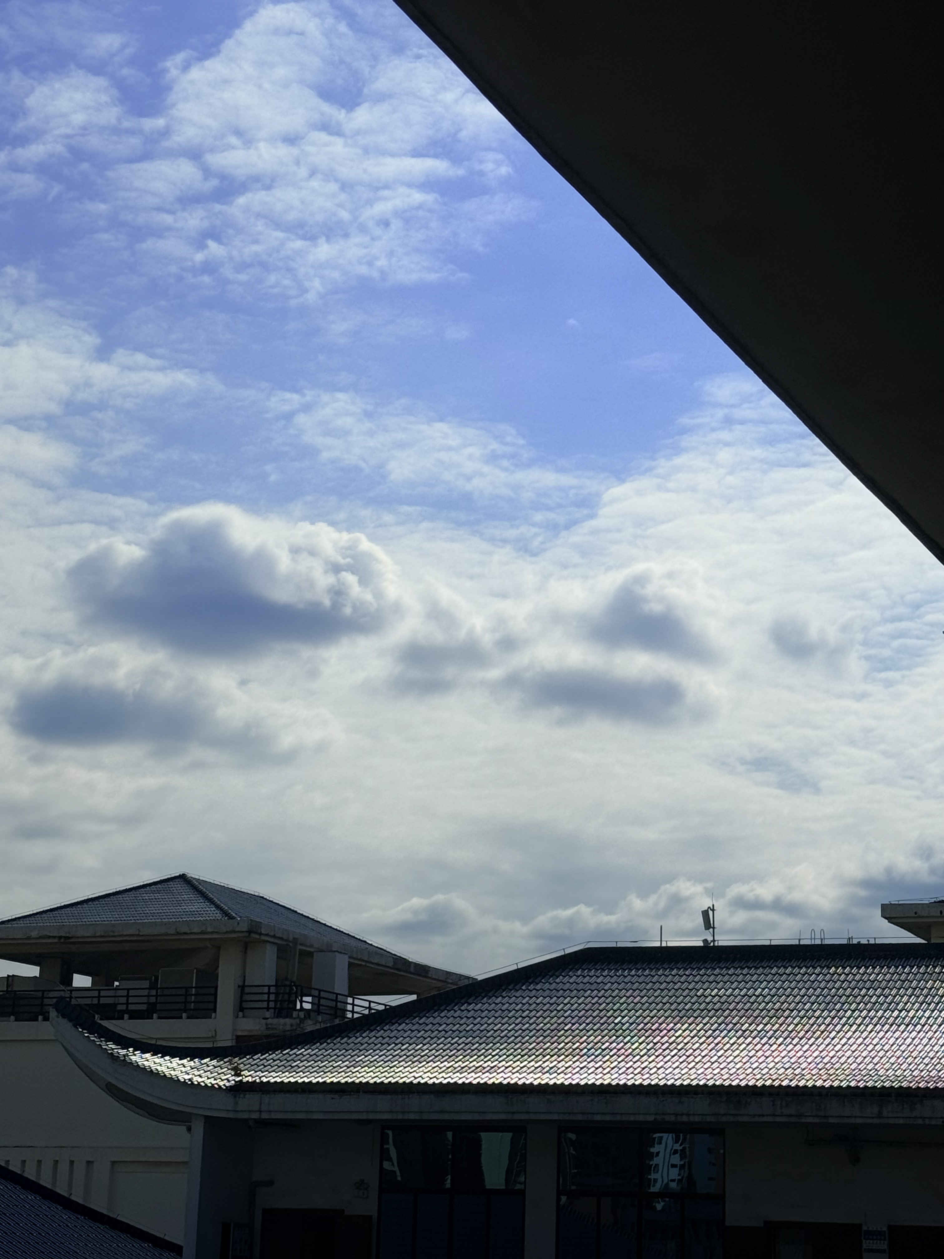 IMG_9022.jpeg